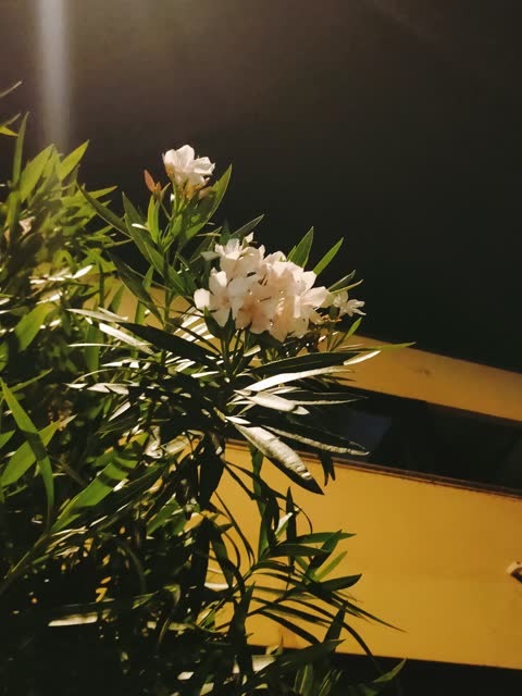 Фото · 23:29
