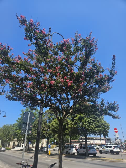 Фото · 14:32