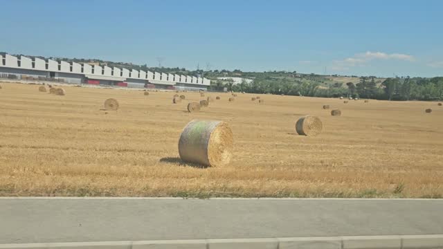 Відео · 15:17