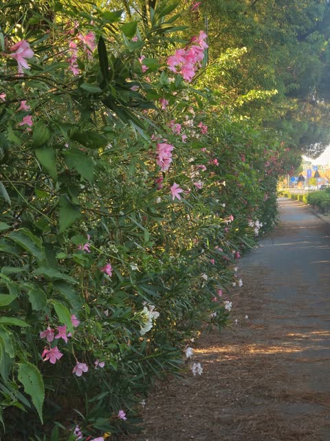 Фото · 19:08