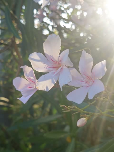 Фото · 19:09