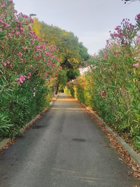 Фото · 19:18
