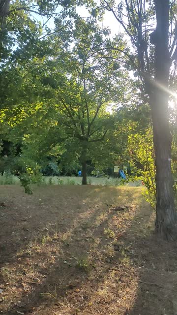 Відео · 19:21