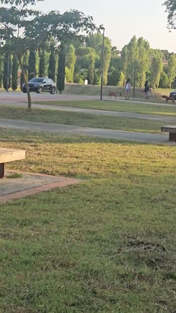 Відео · 19:35